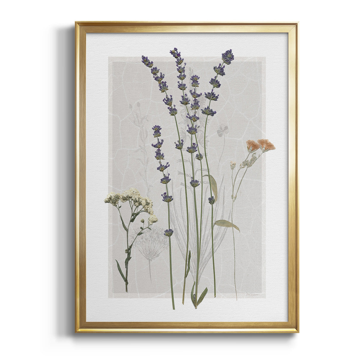 Sepia Botanical Journal I - Modern Framed Canvas Print