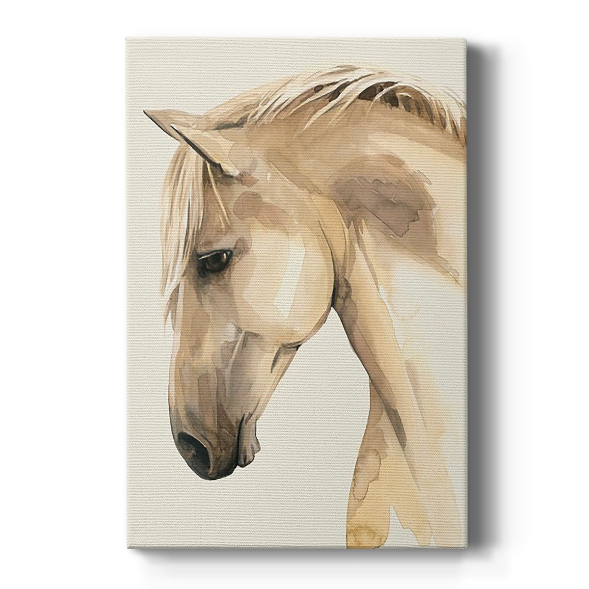 Golden Palomino II Premium Gallery Wrapped Canvas - Ready to Hang