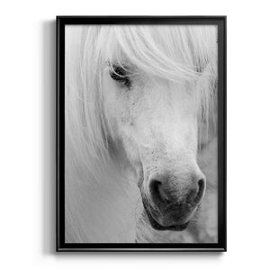 Island Pony I Premium Framed Print - Ready to Hang