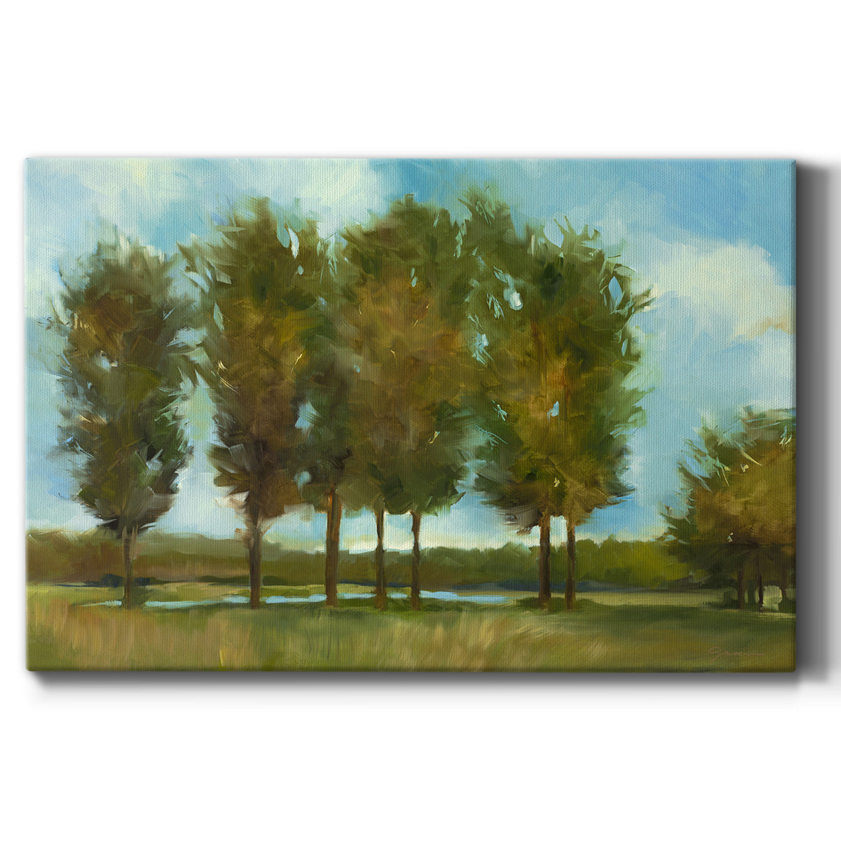 Tall Trees Premium Gallery Wrapped Canvas - Ready to Hang