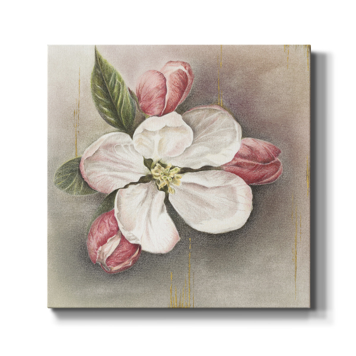 Enlightenment Blossom II-Premium Gallery Wrapped Canvas - Ready to Hang