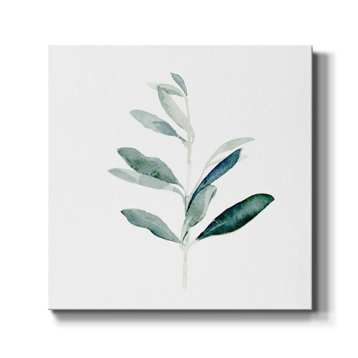 Summer Olive Branch I-Premium Gallery Wrapped Canvas - Ready to Hang