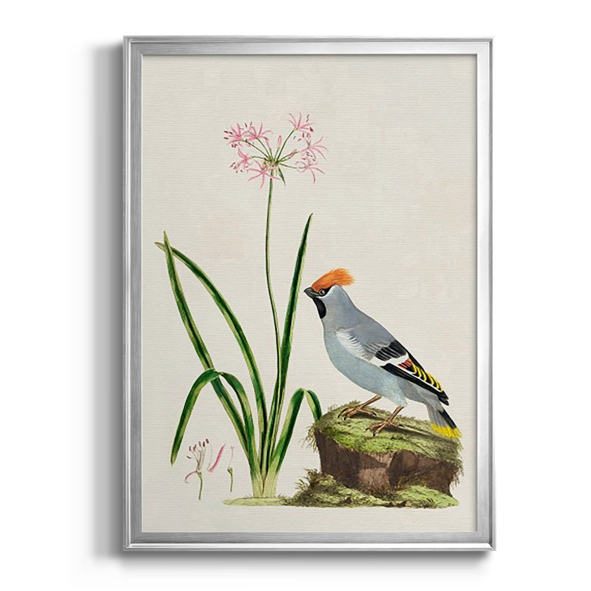 Bird in Habitat II Premium Framed Print - Ready to Hang