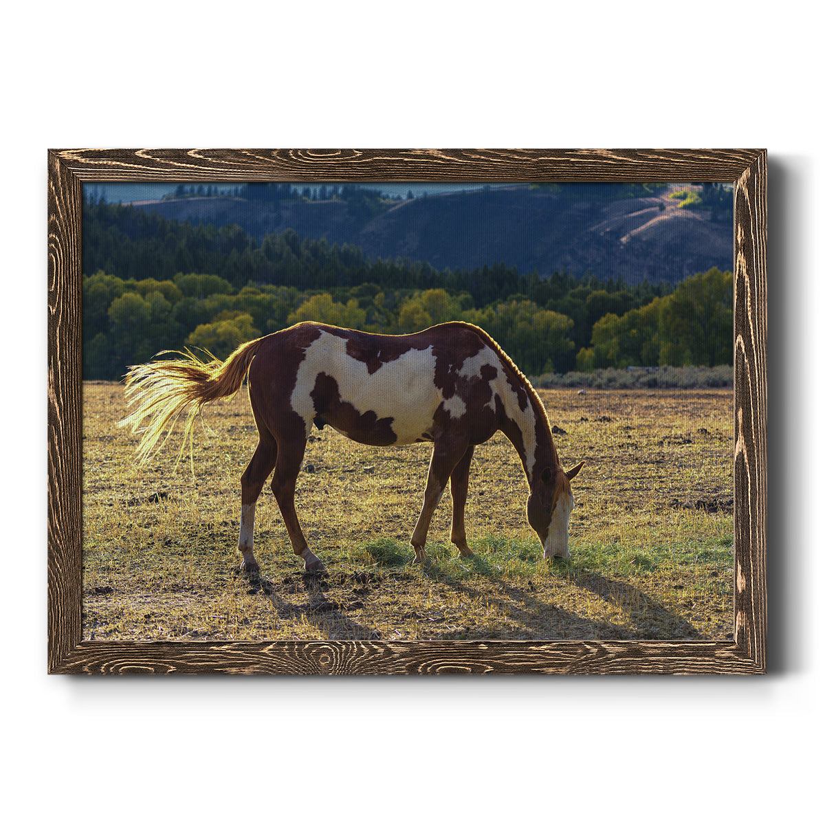 Breakfast-Premium Framed Canvas - Ready to Hang