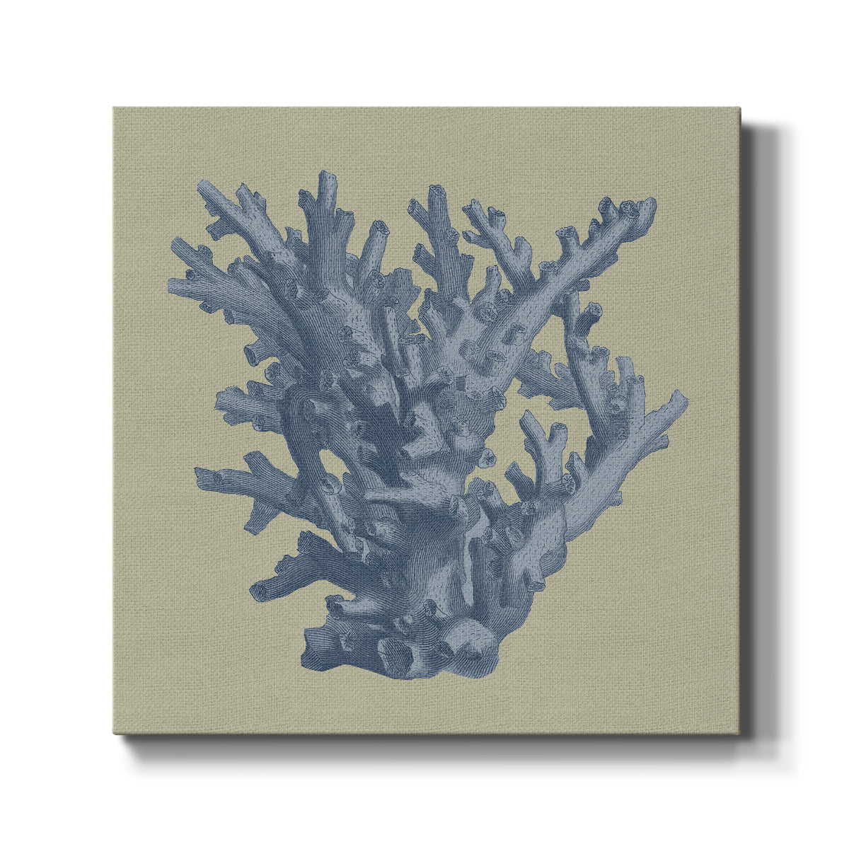 Chambray Coral I - Canvas Art Print