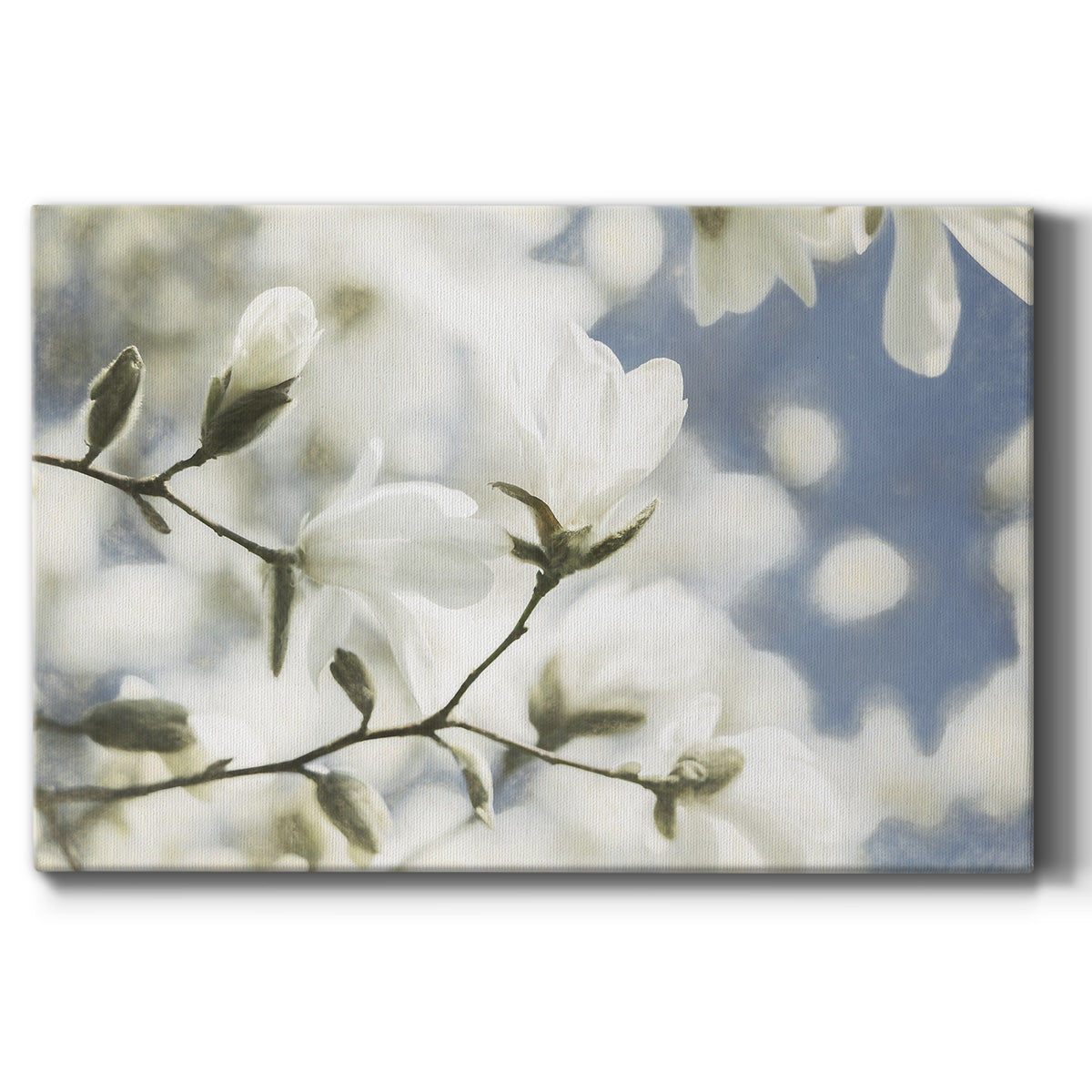 Unfolding Beauty Premium Gallery Wrapped Canvas - Ready to Hang