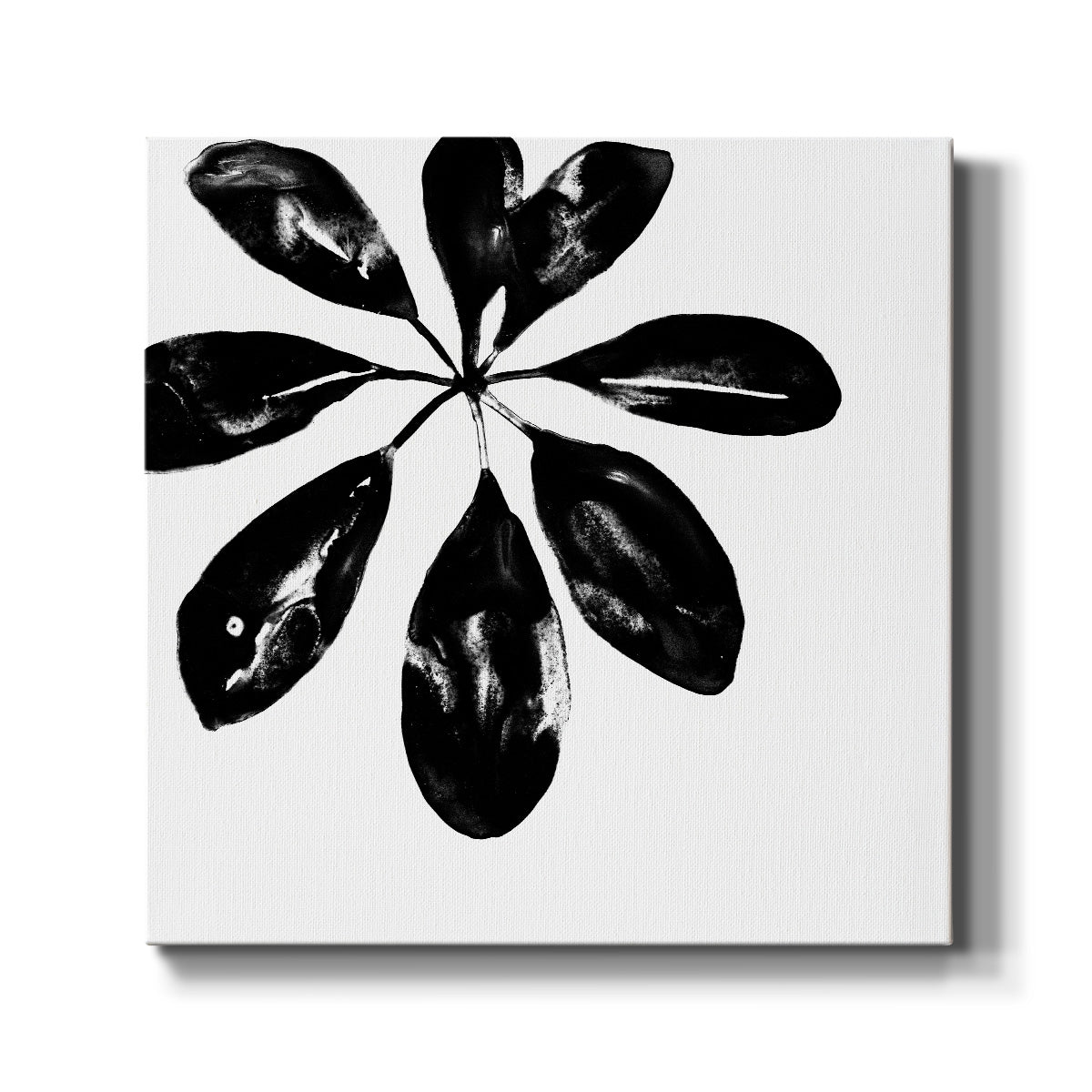 Monochrome Tropic VI-Premium Gallery Wrapped Canvas - Ready to Hang