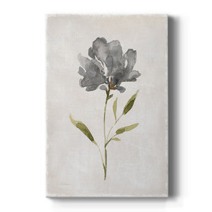 Botanical Beauty II Premium Gallery Wrapped Canvas - Ready to Hang