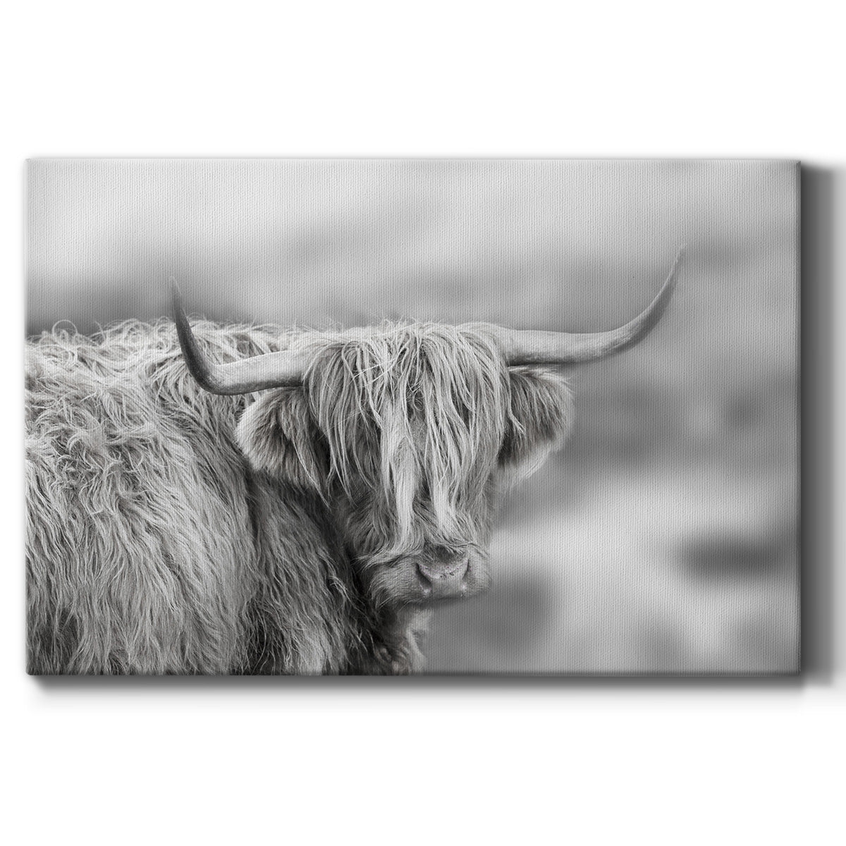 Roaming Isle of Skye - Canvas Art Print