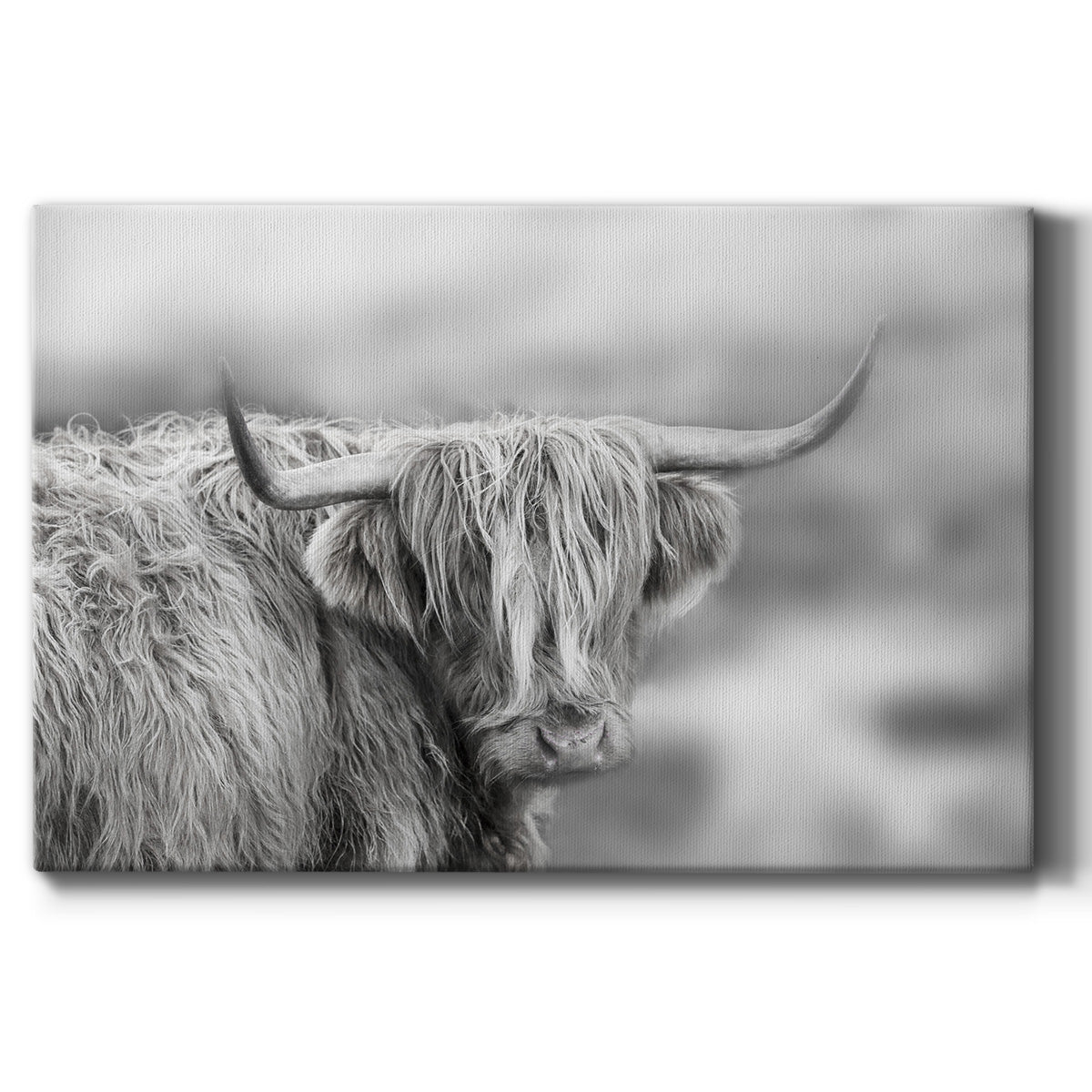 Roaming Isle of Skye Premium Gallery Wrapped Canvas - Ready to Hang