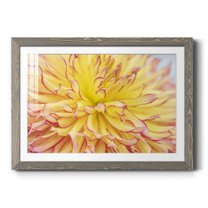 Blooms III-Premium Framed Print - Ready to Hang