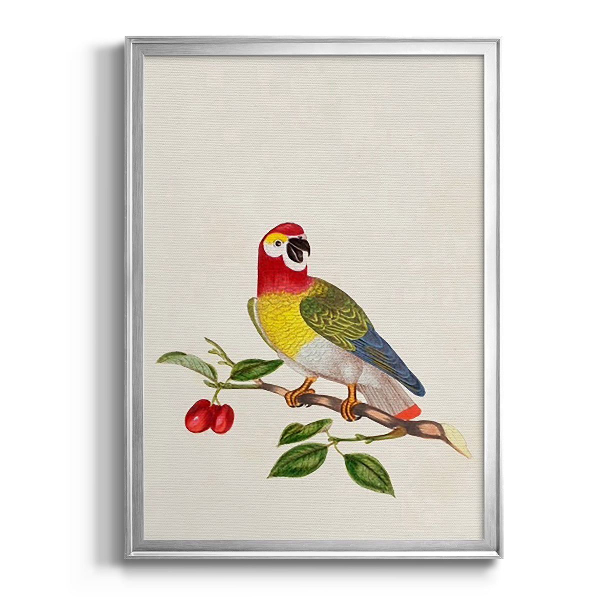 Bird in Habitat VI Premium Framed Print - Ready to Hang