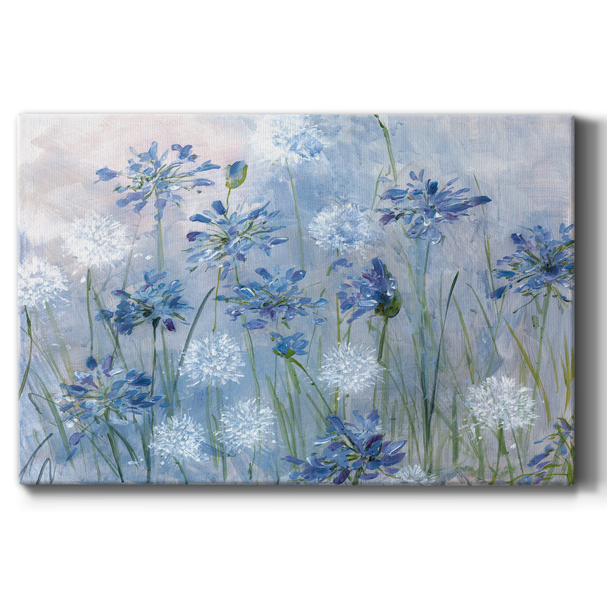 Dandelion and Agapanthus Premium Gallery Wrapped Canvas - Ready to Hang