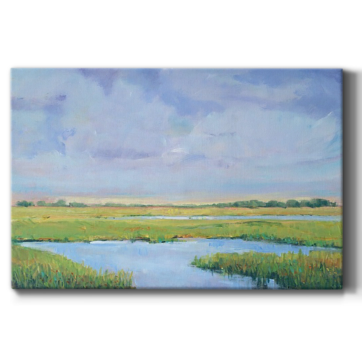 Marsh Print