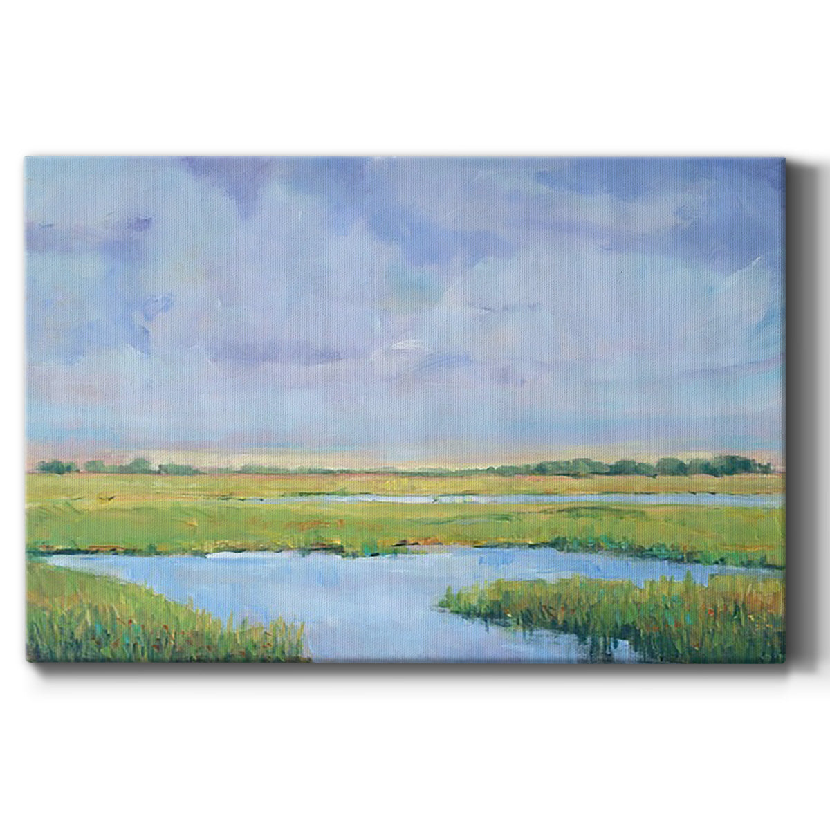 Summer Marsh I Premium Gallery Wrapped Canvas - Ready to Hang
