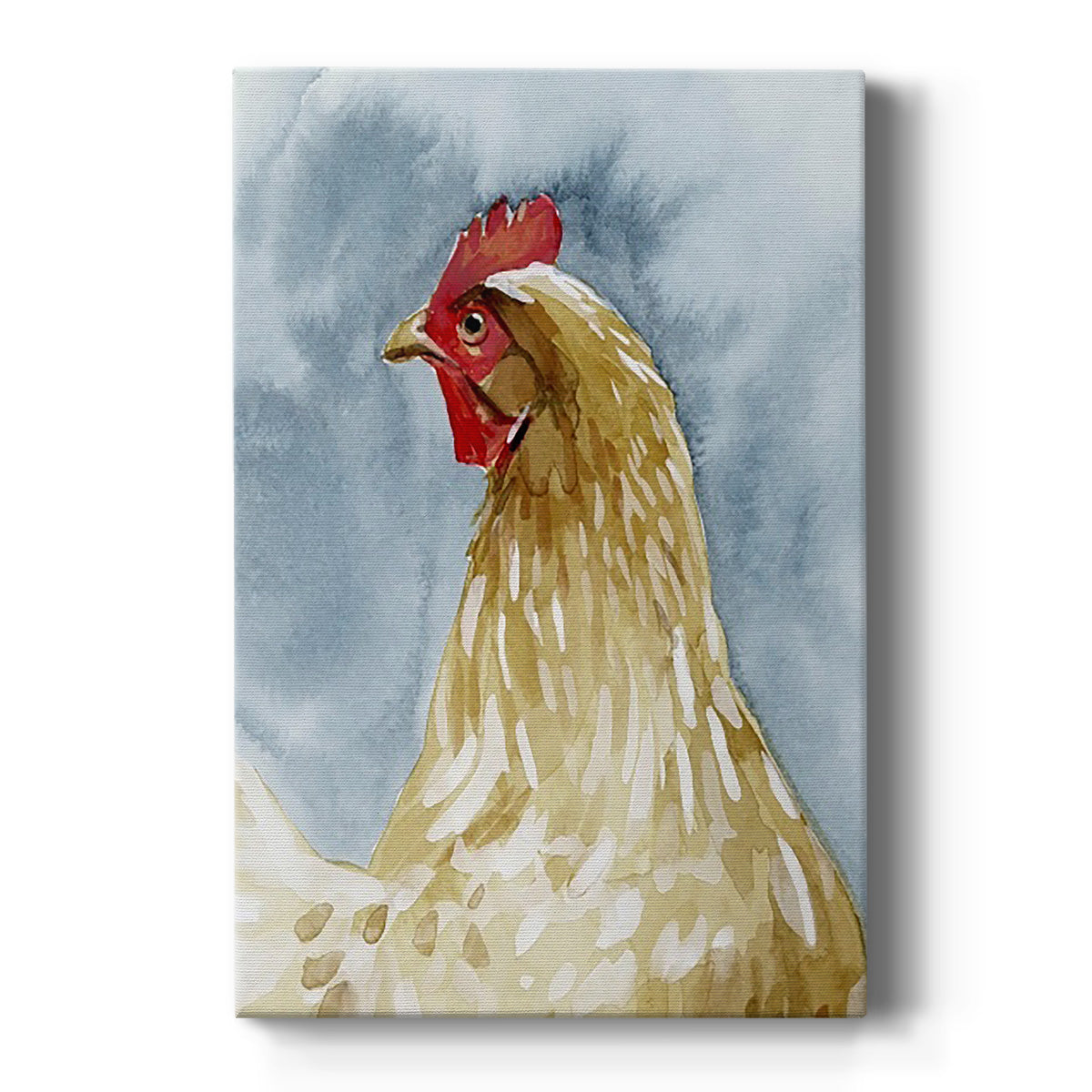 Chicken Portrait I Premium Gallery Wrapped Canvas - Ready to Hang
