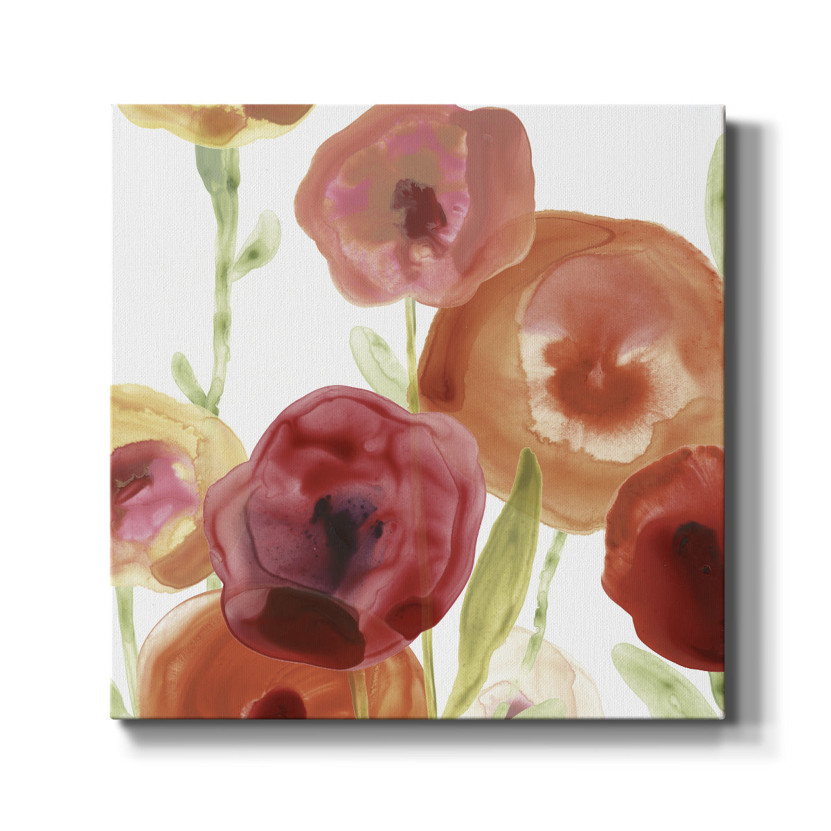 Poppy Patch I - Canvas Art Print