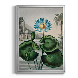 Temple of Flora IX Premium Framed Print - Ready to Hang