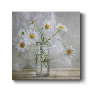 Daisies - Canvas Art Print