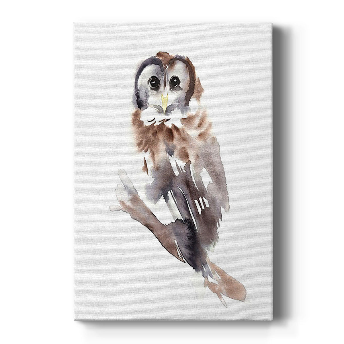Barred Owl Impressions II Premium Gallery Wrapped Canvas - Ready to Hang