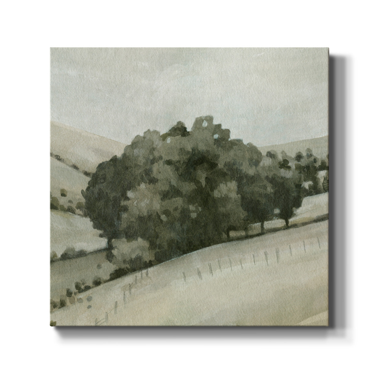 Rolling Grove I - Canvas Art Print