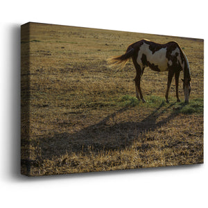 Long Shadow Premium Gallery Wrapped Canvas - Ready to Hang