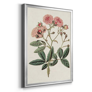 Pink Floral Mix V Premium Framed Print - Ready to Hang