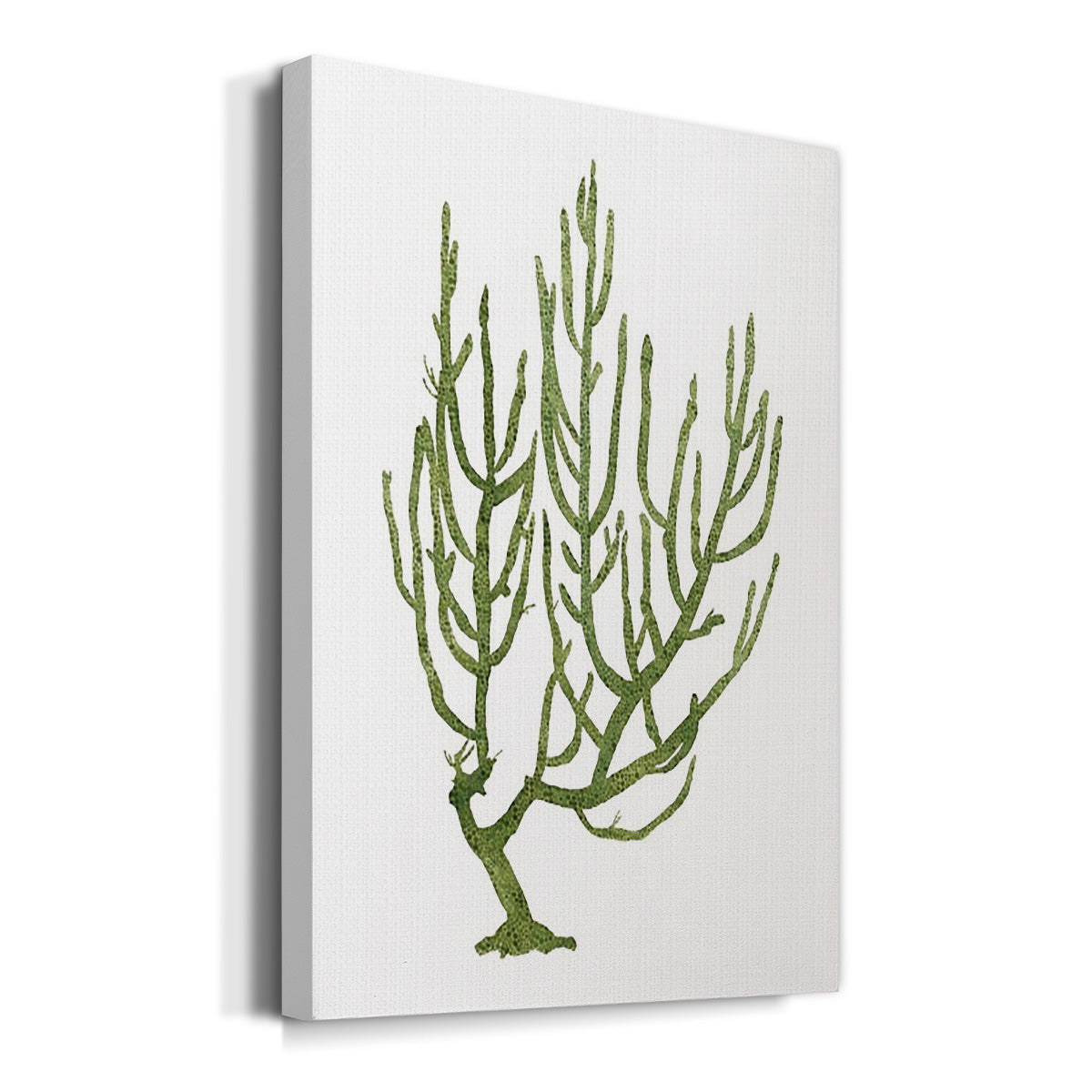 Coral Souvenirs III Premium Gallery Wrapped Canvas - Ready to Hang