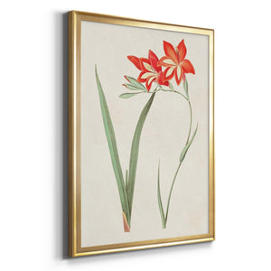 Flowers of the Seasons IV Premium Framed Print - Ready to Hang