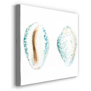 Watercolor Shells VI-Premium Gallery Wrapped Canvas - Ready to Hang