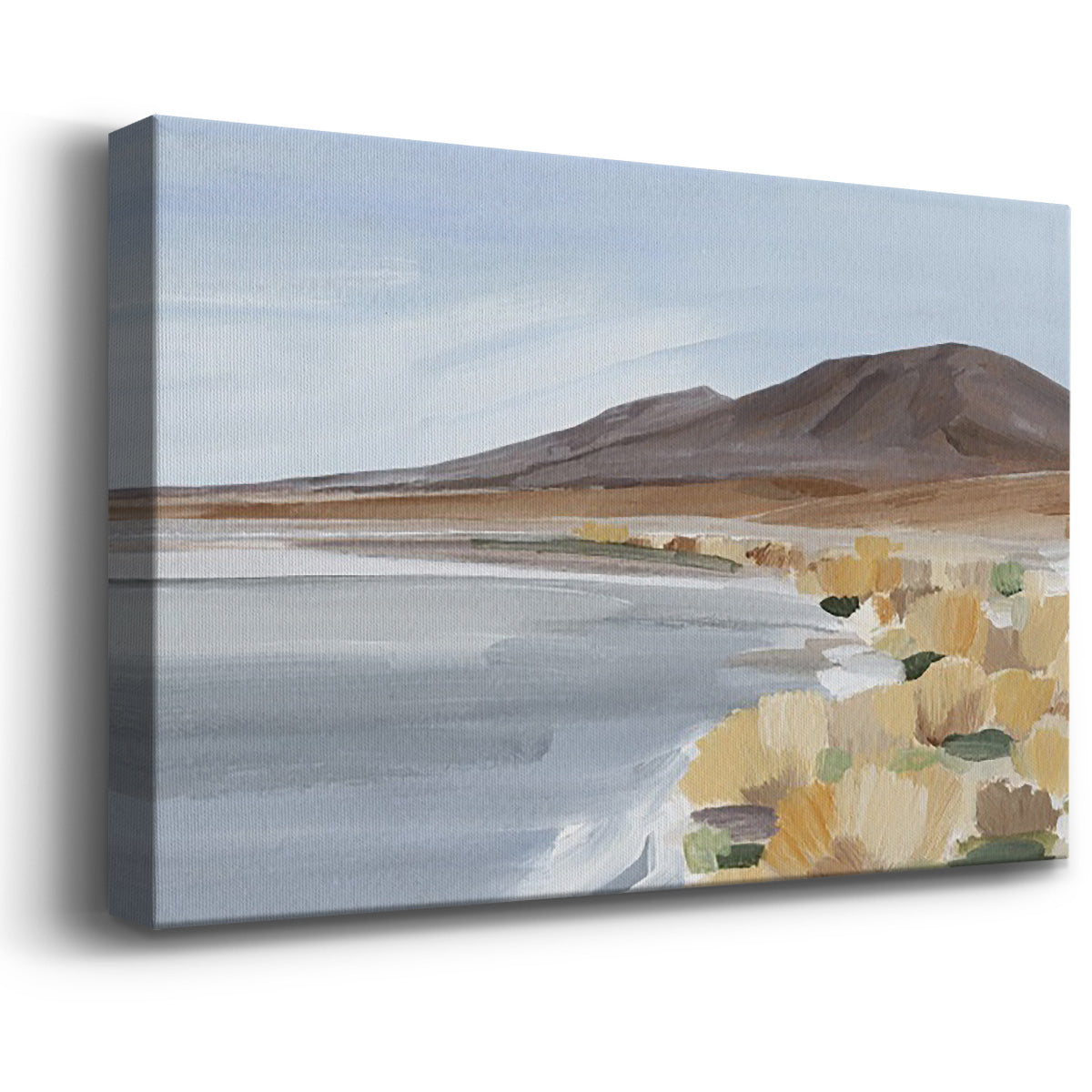 Desert Oasis Study I Premium Gallery Wrapped Canvas - Ready to Hang