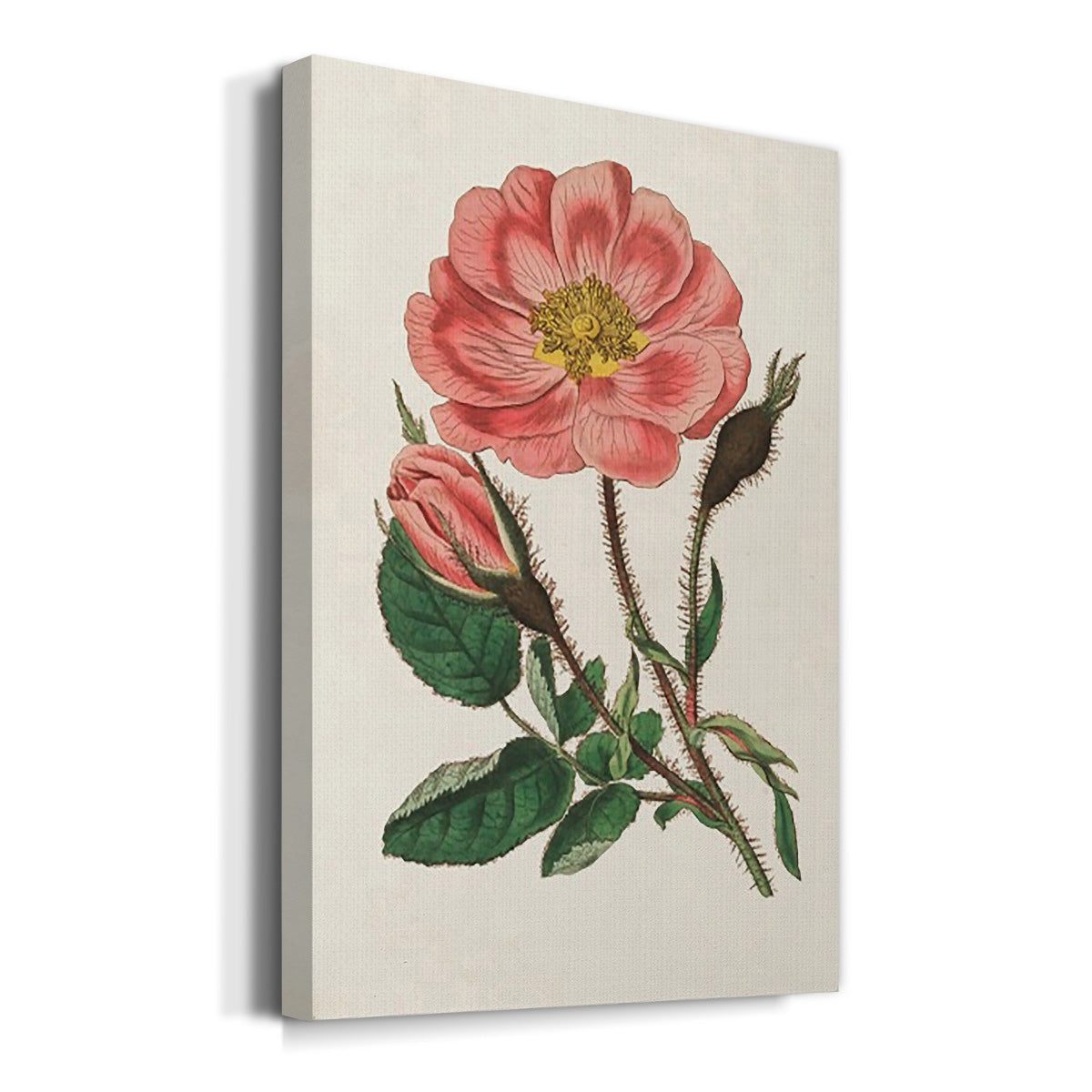 Pink Floral Mix IX Premium Gallery Wrapped Canvas - Ready to Hang