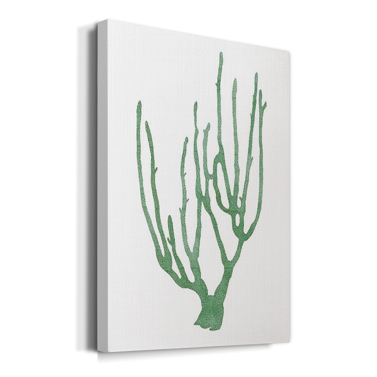Coral Souvenirs II Premium Gallery Wrapped Canvas - Ready to Hang