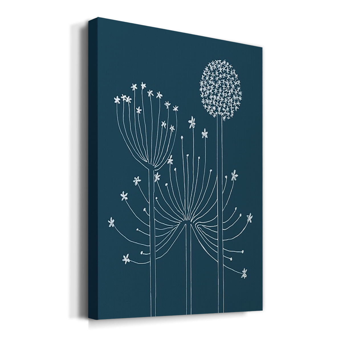 Graphic Alliums II Premium Gallery Wrapped Canvas - Ready to Hang