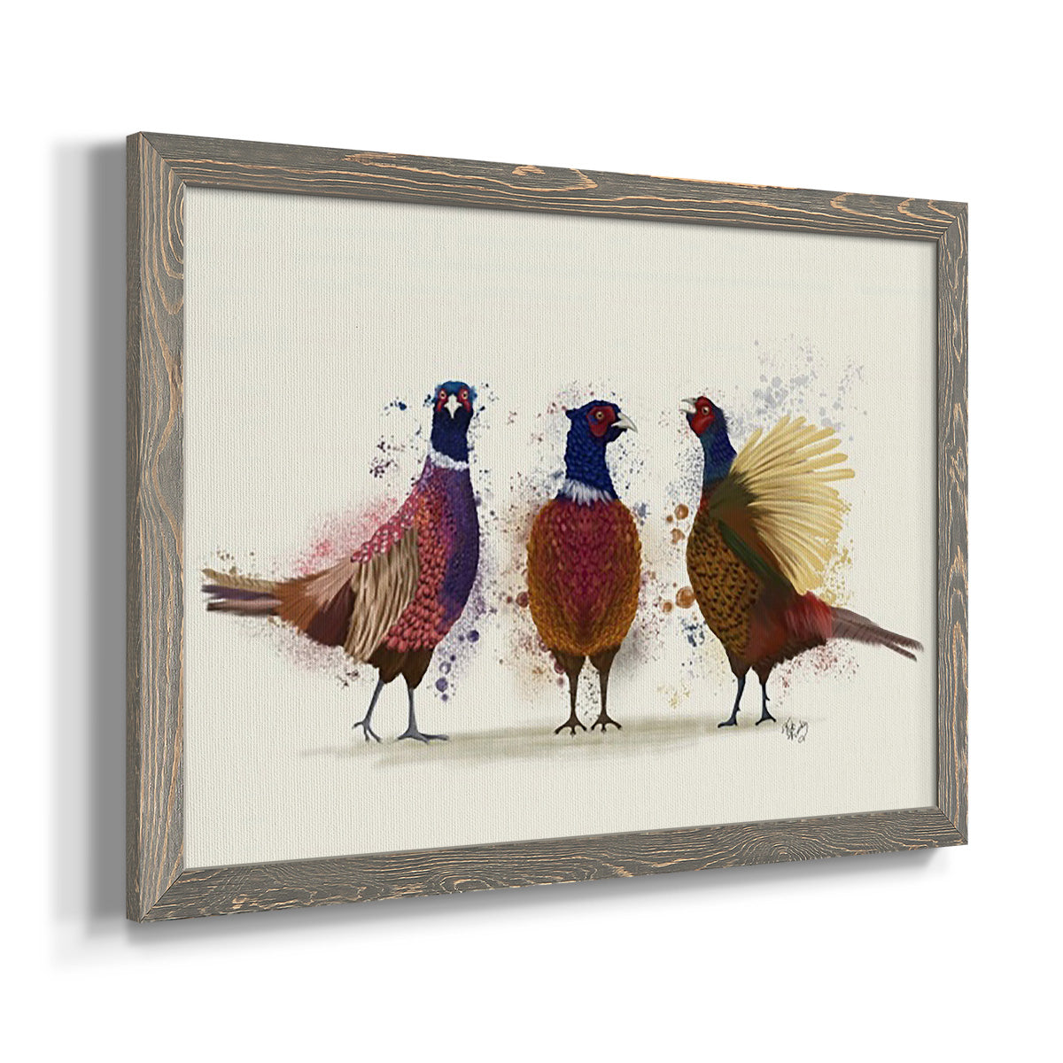 Pheasant Trio-Premium Framed Canvas - Ready to Hang