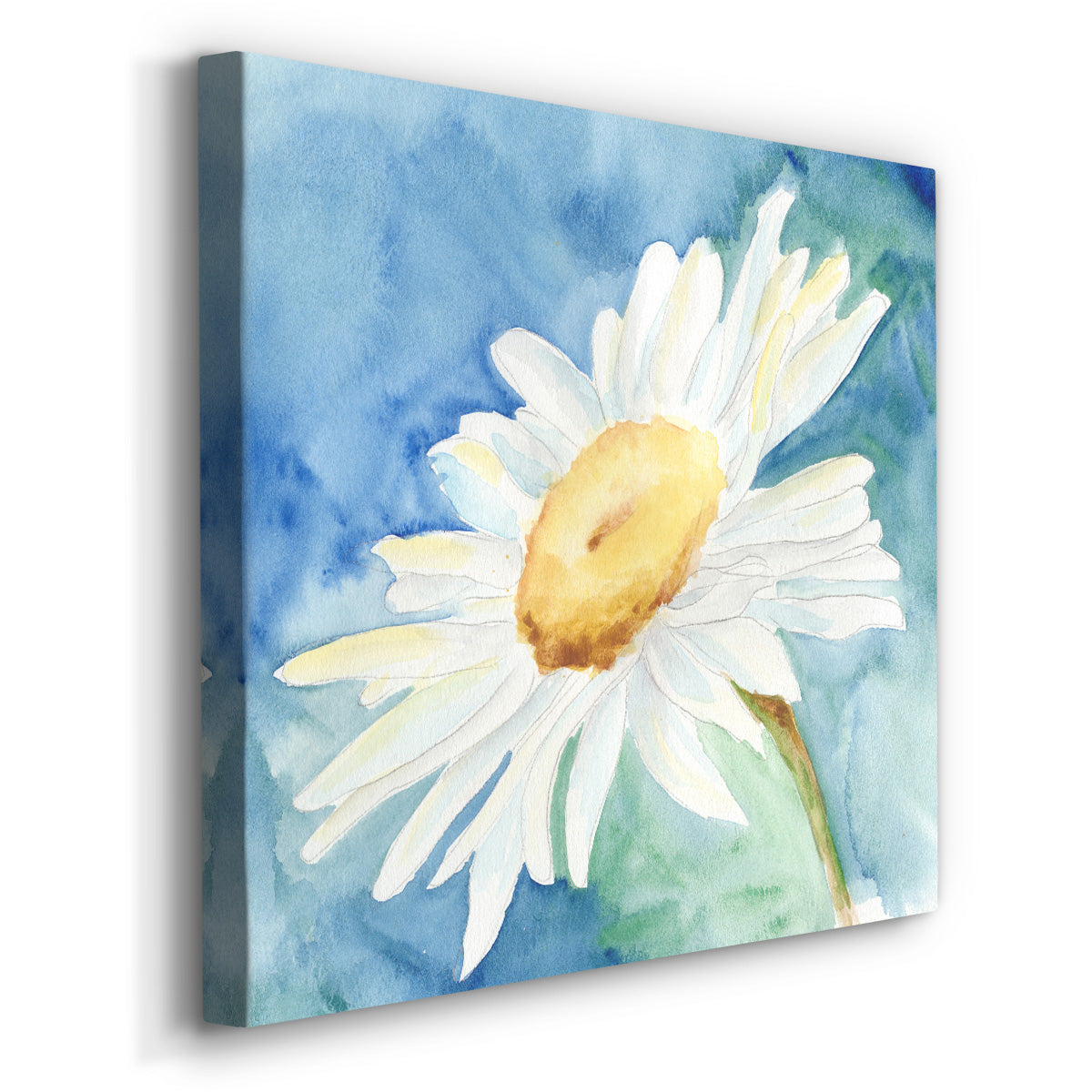 Daisy Sunshine I-Premium Gallery Wrapped Canvas - Ready to Hang