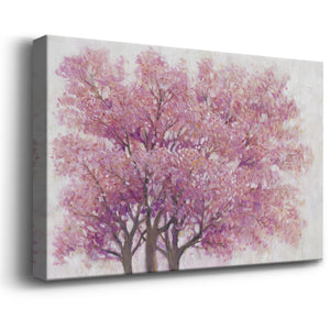 Pink Cherry Blossom Tree I Premium Gallery Wrapped Canvas - Ready to Hang