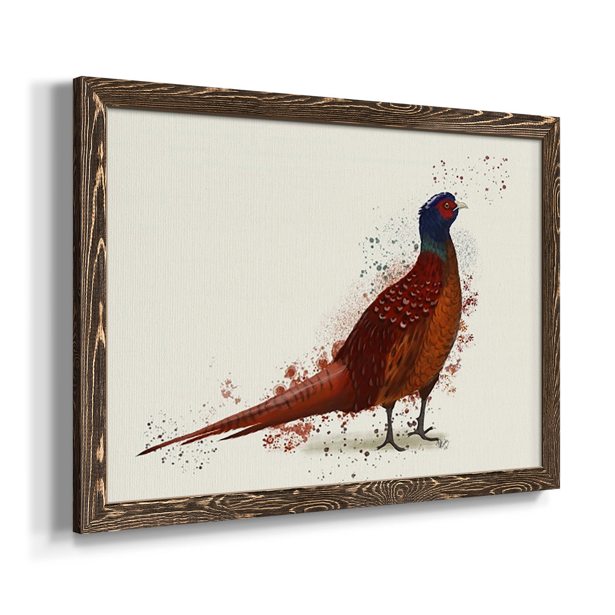 Pheasant Splash 4-Premium Framed Canvas - Ready to Hang