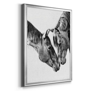 Equine Portrait VI Premium Framed Print - Ready to Hang