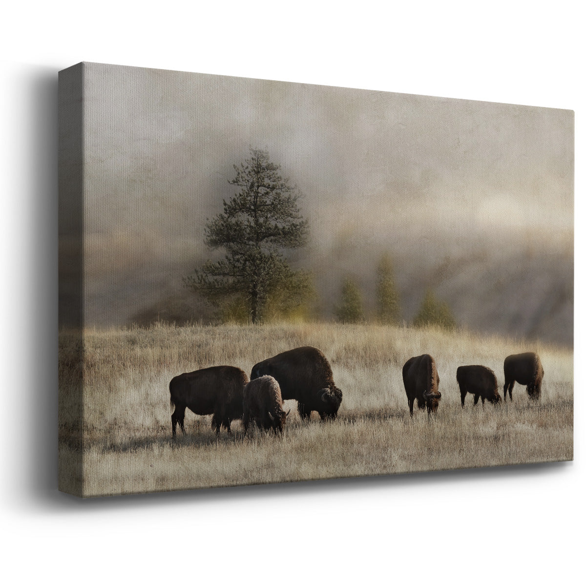 Ridge Grazing Premium Gallery Wrapped Canvas - Ready to Hang