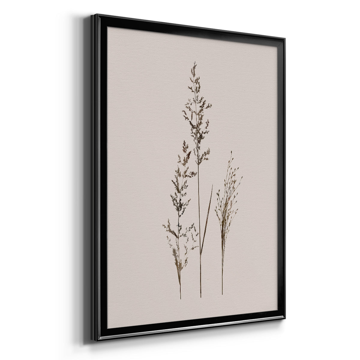 Delicate Stems I Premium Framed Print - Ready to Hang