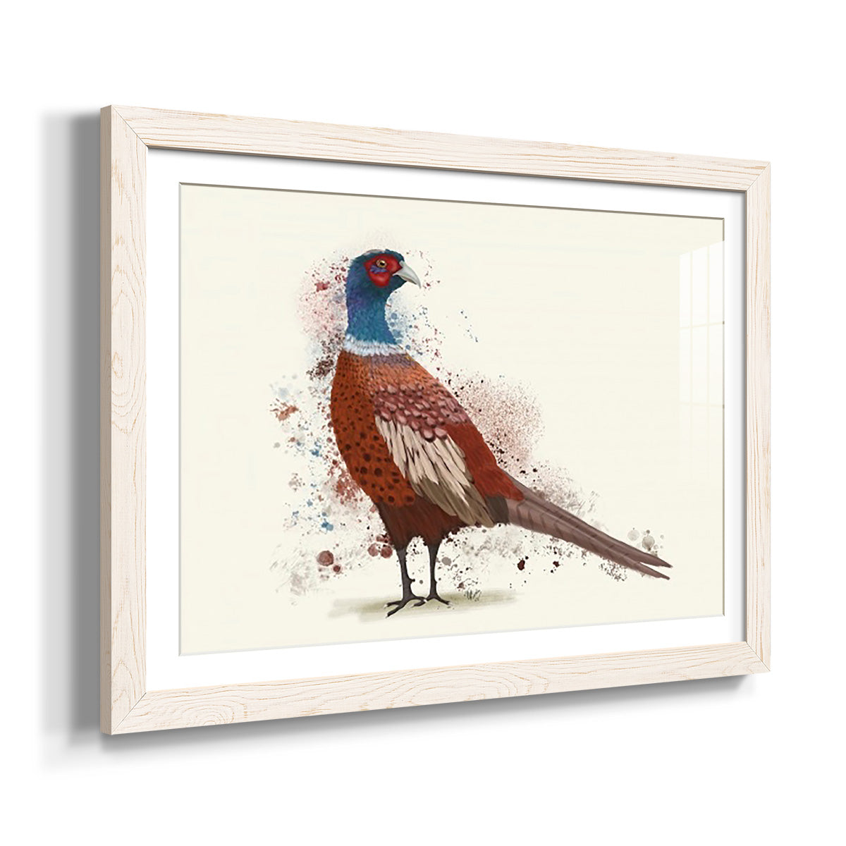 Pheasant Splash 5-Premium Framed Print - Ready to Hang