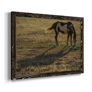 Long Shadow-Premium Framed Canvas - Ready to Hang