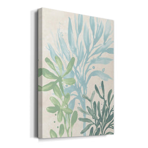 Swaying Seagrass II Premium Gallery Wrapped Canvas - Ready to Hang