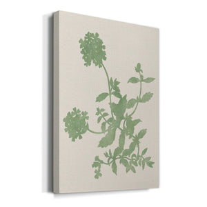 Vintage Garden II Premium Gallery Wrapped Canvas - Ready to Hang