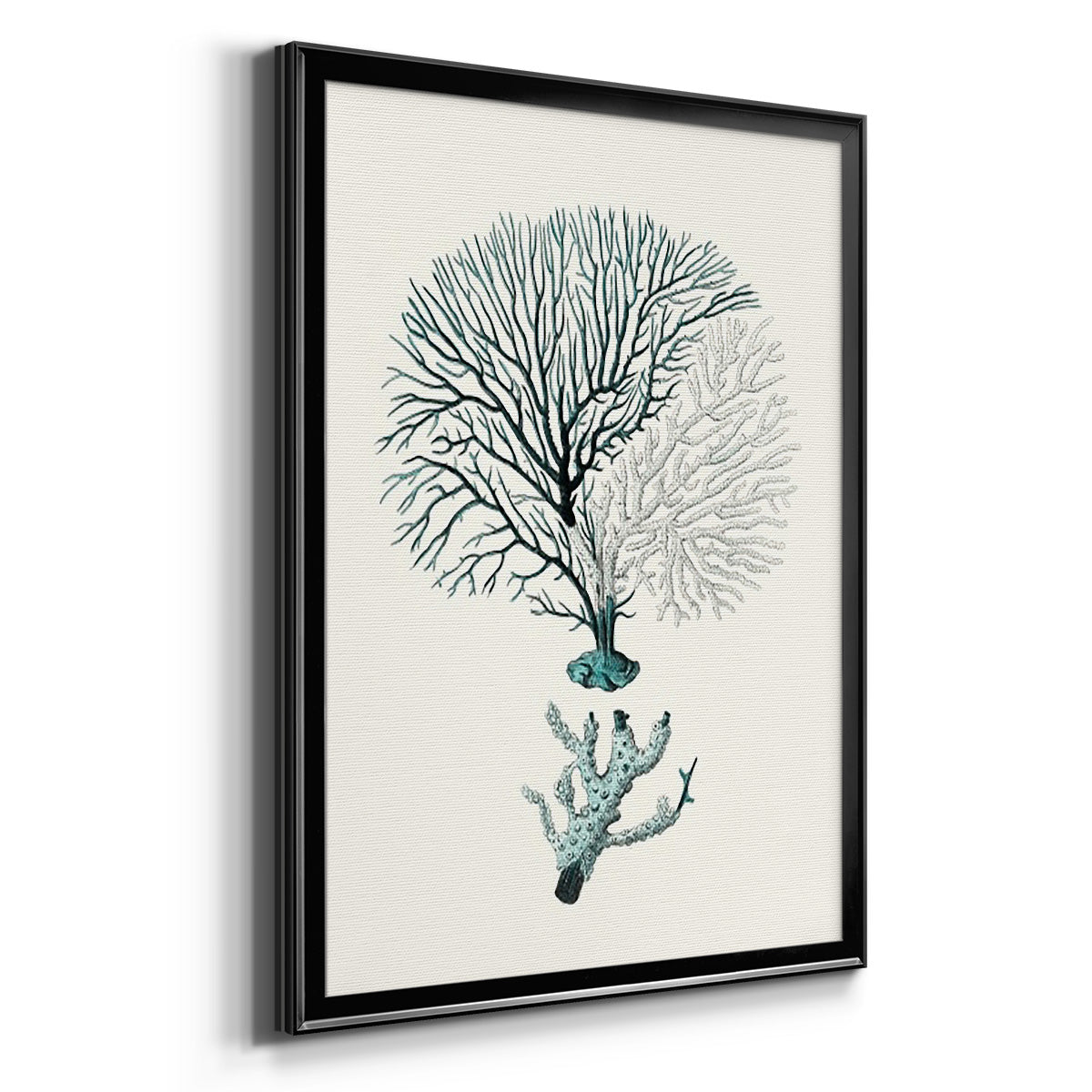 Antique Coastal Coral III Premium Framed Print - Ready to Hang
