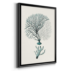 Antique Coastal Coral III Premium Framed Print - Ready to Hang