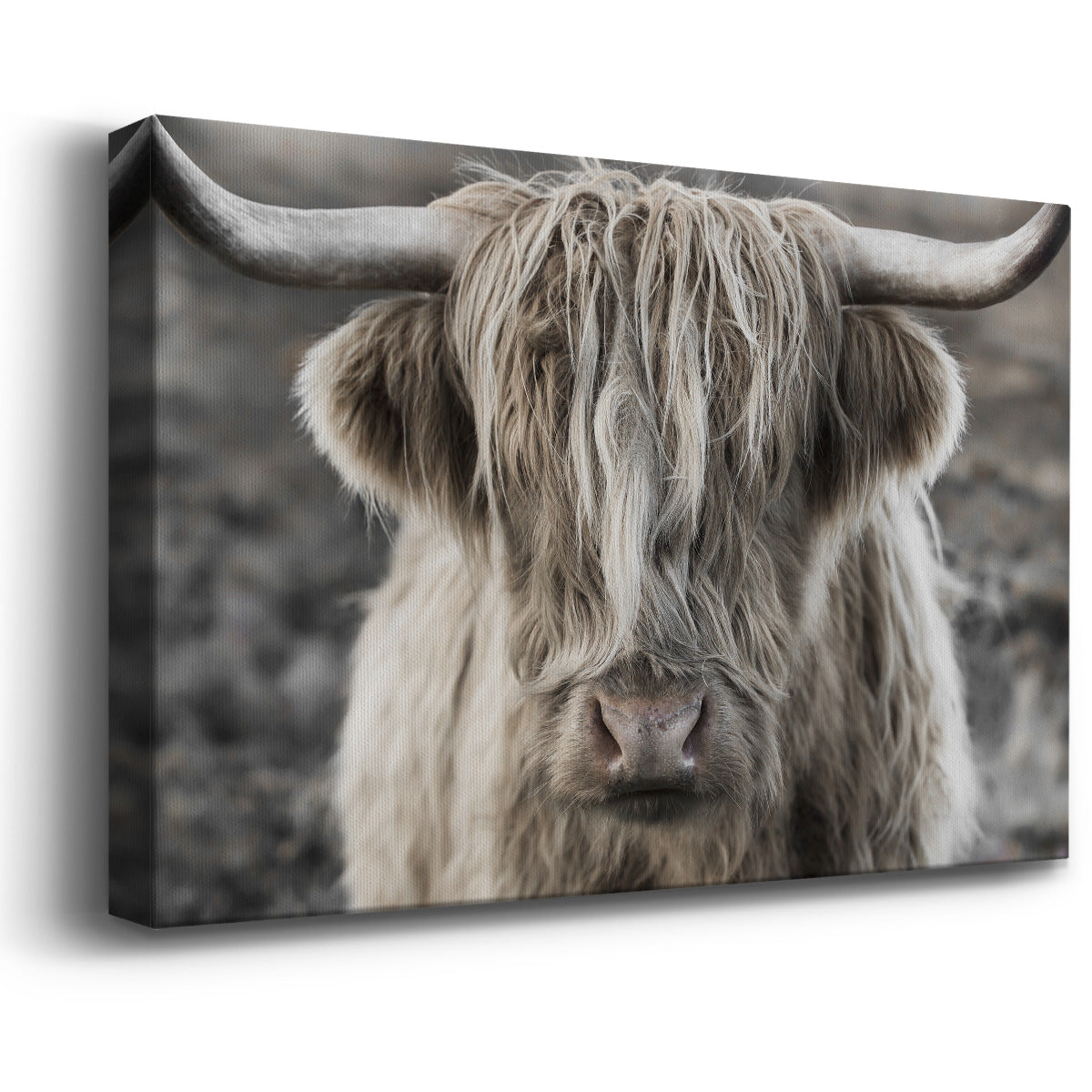 Highland Skye Premium Gallery Wrapped Canvas - Ready to Hang