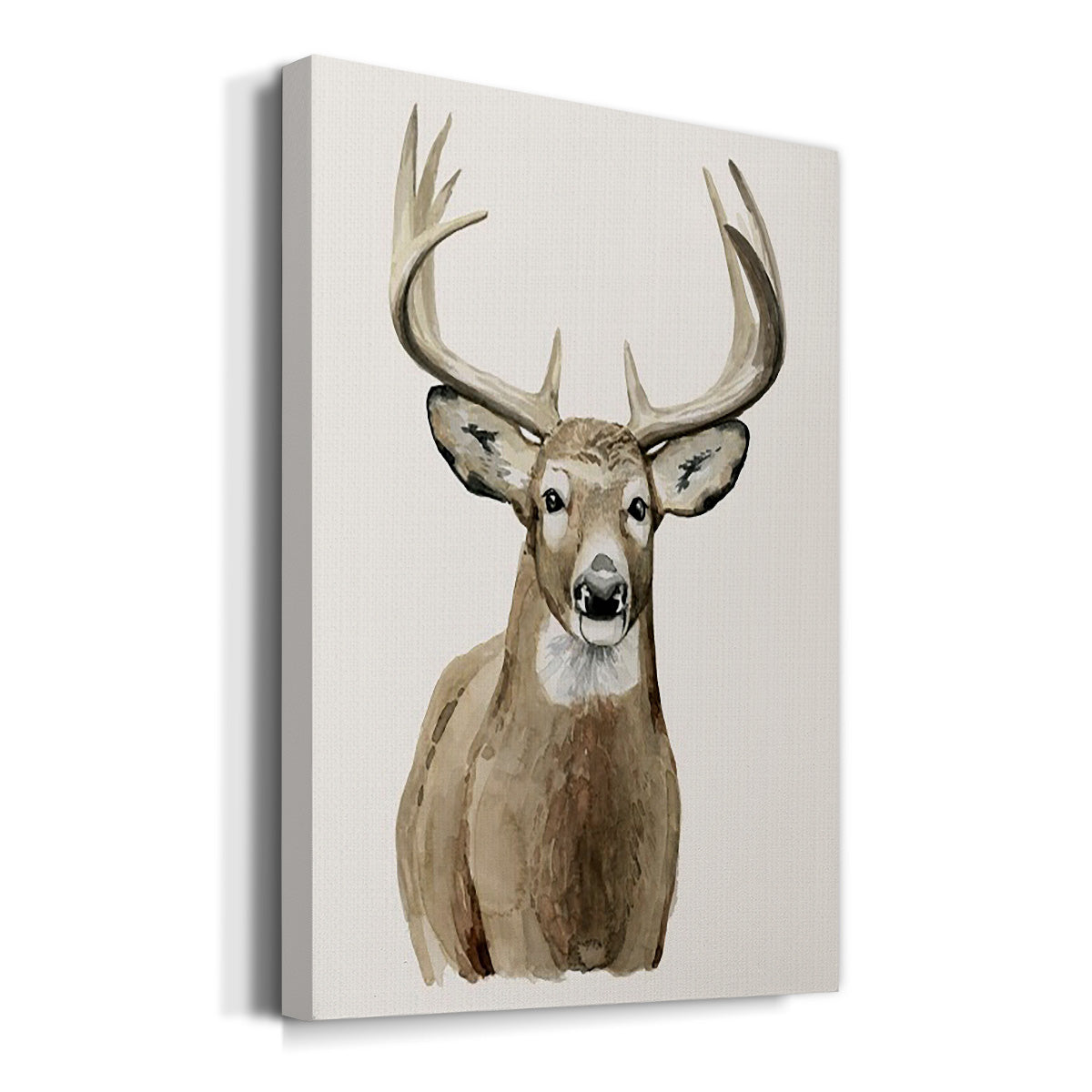 Handsome Whitetail II Premium Gallery Wrapped Canvas - Ready to Hang