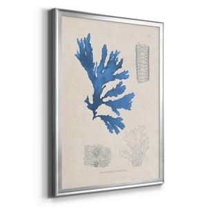 Blue Marine Algae VIII Premium Framed Print - Ready to Hang